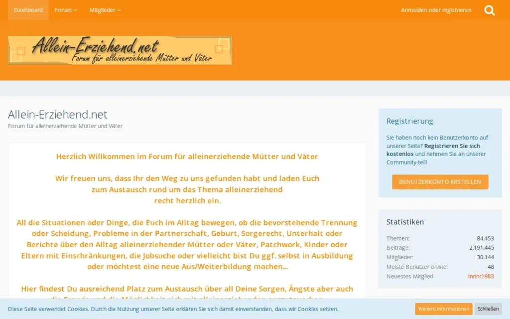 Startseite von Allein-Erziehend.net