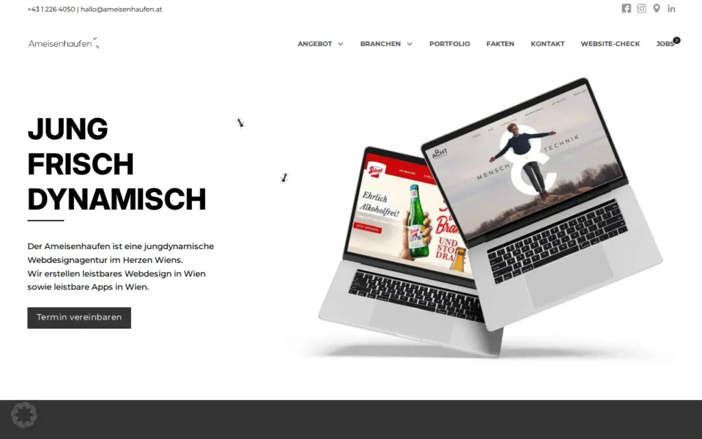 Startseite von AMEISENHAUFEN GmbH