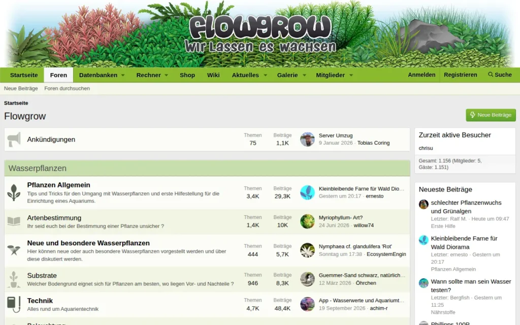 Startseite von Flowgrow