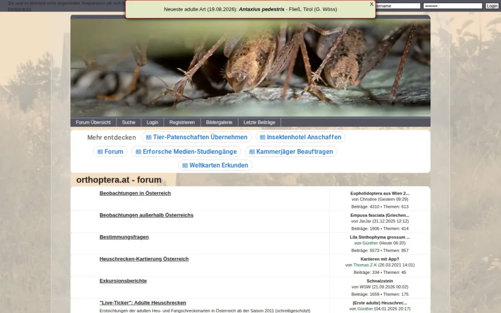 Startseite von Orthoptera.at Forum