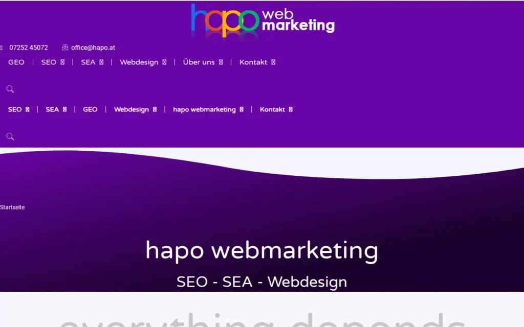 Startseite von hapo webmarketing