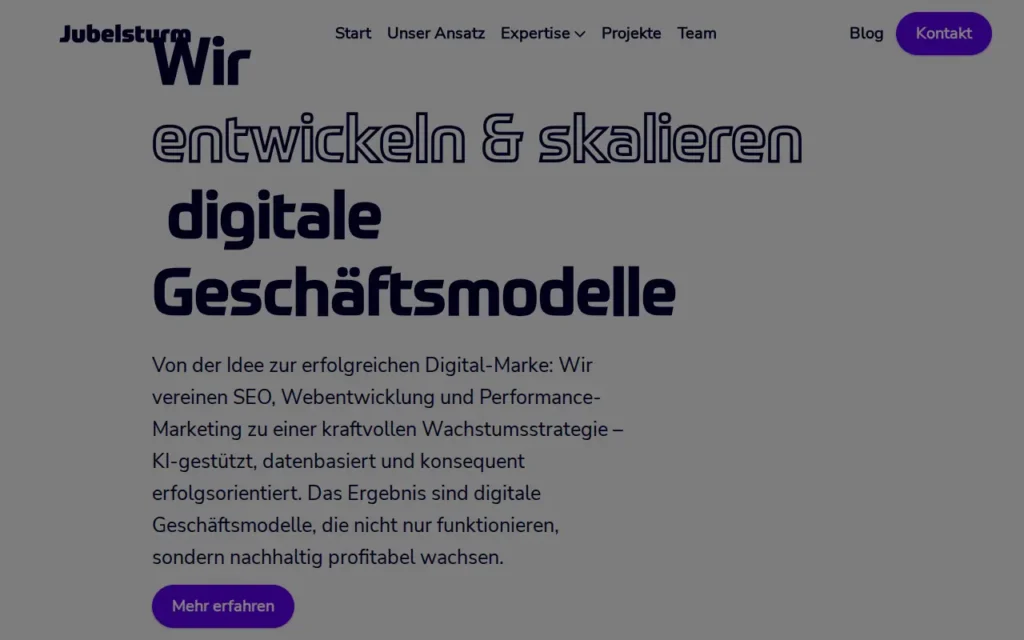 Startseite von Jubelsturm (Marke der Riechert Beteiligungs GmbH)
