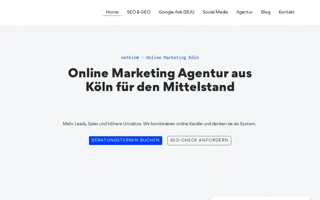 Startseite von netkin® Digital Marketing De los Santos GbR