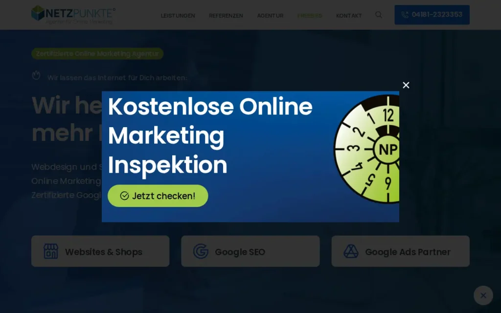 Startseite von NETZPUNKTE Online Marketing