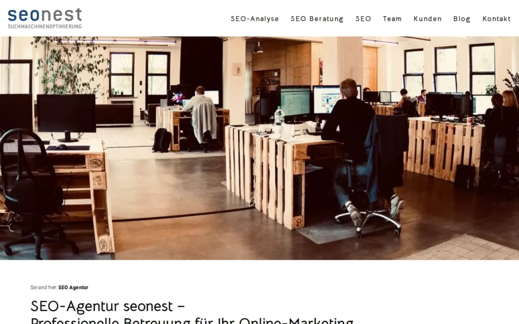 Startseite von SEO-NEST (nest online GmbH)