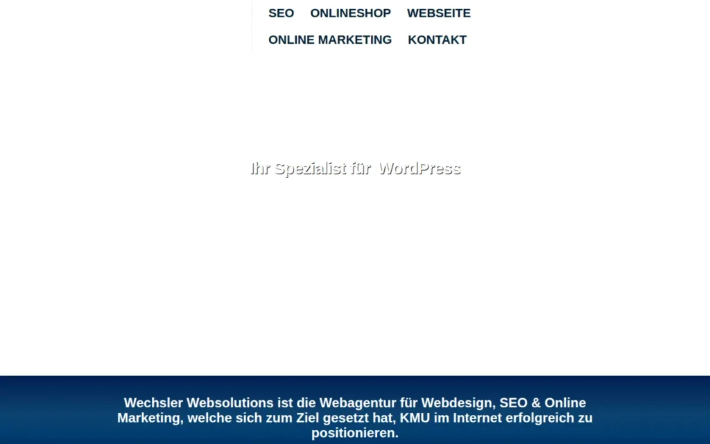Startseite von Wechsler Websolutions